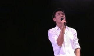 刘德华2007年演唱会