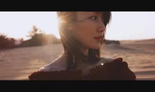 武汉十七中事件 武汉十七中事件