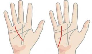 怎么看手相图解 怎么看手相图解