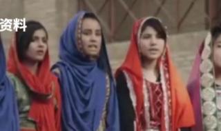 为什么禁养阿富汗犬 阿富汗女主播禁工作