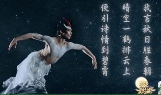 中秋奇妙游广寒宫歌词 中秋奇妙游完整版