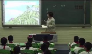 小学语文二年级下册