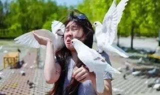 下雪地上都白茫茫朋友圈说说 下雪发的朋友圈简单