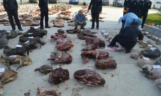 羊了个羊有什么规律