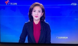 南方卫视主持人锋哥叫什么名字 南方卫视今日最新闻